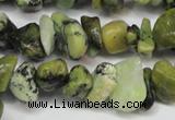 CCH233 34 inches 5*8mm yellow howlite turquoise chips beads wholesale