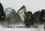 CCH277 34 inches 8*12mm labradorite chips gemstone beads wholesale