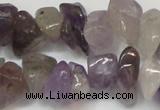 CCH291 34 inches 8*12mm amethyst chips gemstone beads wholesale