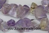 CCH314 15.5 inches 10*15mm ametrine chips gemstone beads wholesale