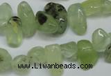 CCH318 15.5 inches 10*15mm prehnite chips gemstone beads wholesale