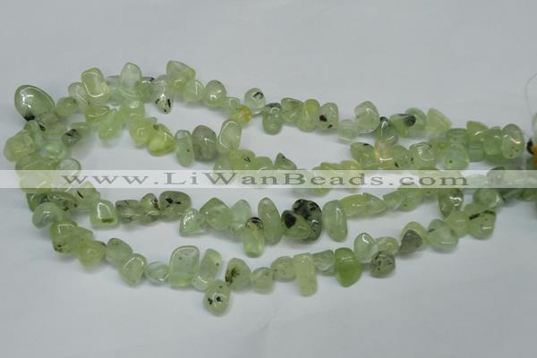 CCH318 15.5 inches 10*15mm prehnite chips gemstone beads wholesale