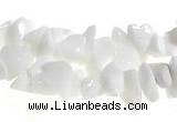 CCH32 35 inches white stone chips gemstone beads wholesale