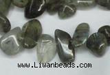 CCH320 15.5 inches 10*15mm labradorite chips gemstone beads wholesale