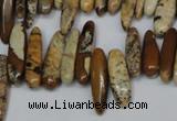 CCH345 15.5 inches 5*20mm picture jasper chips beads wholesale