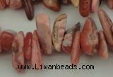 CCH604 15.5 inches 3*12mm - 4*16mm rhodochrosite chips gemstone beads