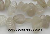 CCH622 15.5 inches 6*8mm - 10*14mm golden rutilated quartz chips beads