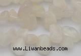 CCH624 15.5 inches 6*8mm - 10*14mm white moonstone chips beads