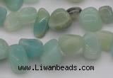 CCH630 15.5 inches 6*8mm - 10*14mm Chinese amazonite chips beads