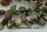 CCH637 15.5 inches 6*8mm - 10*14mm rhyolite gemstone chips beads