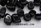 CCH640 15.5 inches 6*8mm - 10*14mm black agate chips beads