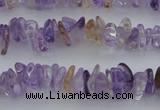 CCH651 15.5 inches 4*6mm - 5*8mm ametrine gemstone chips beads