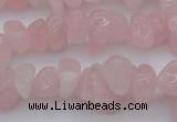 CCH654 15.5 inches 8*12mm - 10*14mm rose quartz chips beads