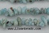 CCH661 15.5 inches 4*6mm - 5*8mm larimar gemstone chips beads