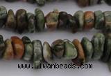 CCH662 15.5 inches 5*8mm - 6*10mm rhyolite gemstone chips beads