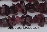 CCH704 15.5 inches 4*6mm - 6*8mm purple garnet chips beads