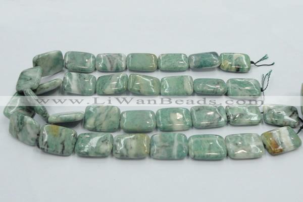 CCJ53 15.5 inches 18*25mm rectangle African jade gemstone beads