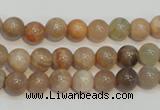 CCS303 15.5 inches 8mm round natural sunstone beads wholesale