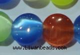 CCT526 15 inches 10mm flat round cats eye beads wholesale