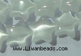 CCT860 15 inches 10mm star cats eye beads wholesale