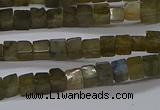 CCU311 15.5 inches 4*4mm cube labradorite beads wholesale