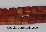 CCU67 15.5 inches 8*8mm cube red agate beads wholesale