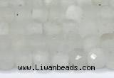 CCU830 15 inches 4mm faceted cube white moonstone beads