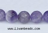 CDA62 15.5 inches 14mm faceted round dogtooth amethyst beads