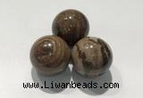 CDN1115 30mm round zebra jasper decorations wholesale