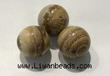 CDN1127 30mm round picture jasper decorations wholesale