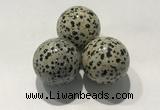 CDN1132 30mm round dalmatian jasper decorations wholesale