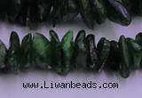 CDP71 15.5 inches 5*10mm - 8*15mm diopside chips gemstone beads