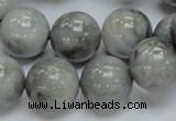 CEE06 15.5 inches 16mm round eagle eye jasper beads wholesale