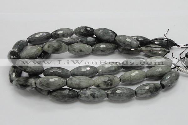 CEE32 15.5 inches 15*30mm faceted rice eagle eye jasper beads