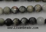 CEE353 15.5 inches 10mm faceted round eagle eye jasper beads