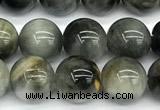 CEE551 15 inches 8mm round eagle eye jasper beads