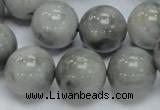 CEE61 15.5 inches 14mm round eagle eye jasper beads wholesale