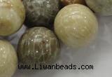 CFA05 15.5 inches 20mm round chrysanthemum agate gemstone beads