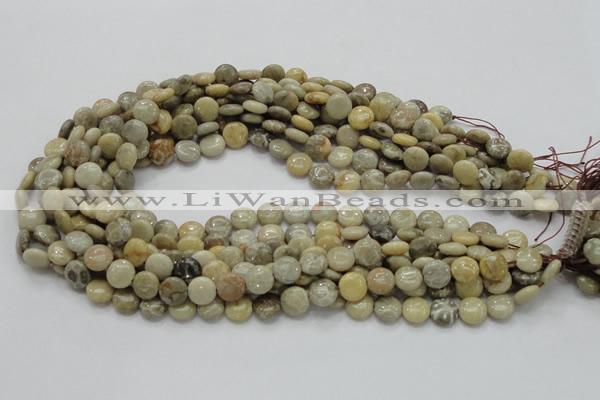 CFA06 15.5 inches 10mm flat round chrysanthemum agate gemstone beads