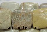 CFA18 15.5 inches 25*25mm square chrysanthemum agate beads