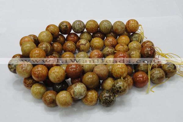 CFA34 15.5 inches 20mm round yellow chrysanthemum agate beads