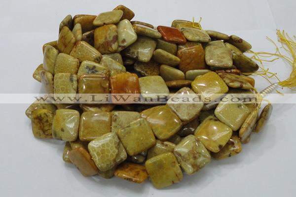 CFA39 15.5 inches 25*25mm square yellow chrysanthemum agate beads