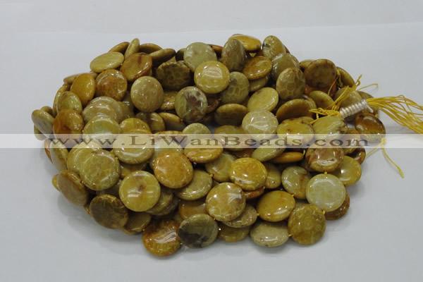 CFA43 15.5 inches 20mm flat round yellow chrysanthemum agate beads