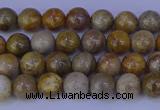 CFC200 15.5 inches 4mm round fossil coral beads wholesale