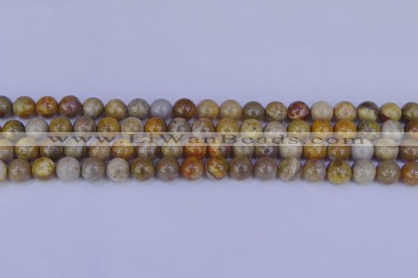 CFC202 15.5 inches 8mm round fossil coral beads wholesale