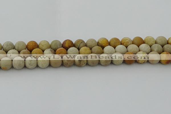 CFC223 15.5 inches 10mm round matte fossil coral beads wholesale