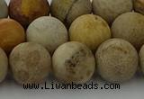 CFC224 15.5 inches 12mm round matte fossil coral beads wholesale