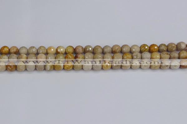 CFC229 15.5 inches 6mm faceted round fossil coral beads