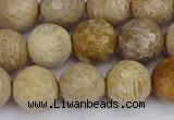 CFC231 15.5 inches 10mm faceted round fossil coral beads