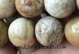 CFC325 15.5 inches 14mm round fossil coral beads wholesale